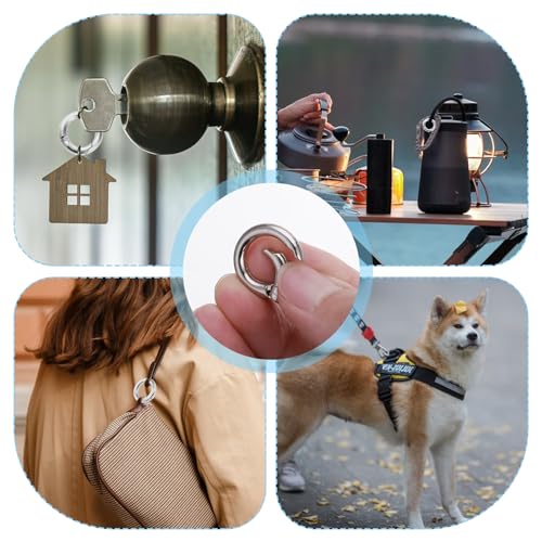 Lusofie 16 Stück Mini Karabiner Runde O Ring Schlüsselring Karabiner 2cm Spaltring Schlüsselanhänger Druckknopf Clip Haken Handwerk DIY Schlüsselbund Zubehör Karabinerhaken