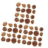 Abaodam 300 pcs - Christmas for Fall L Tree Home Natural Decorative Decor Decoration Decorations Hol