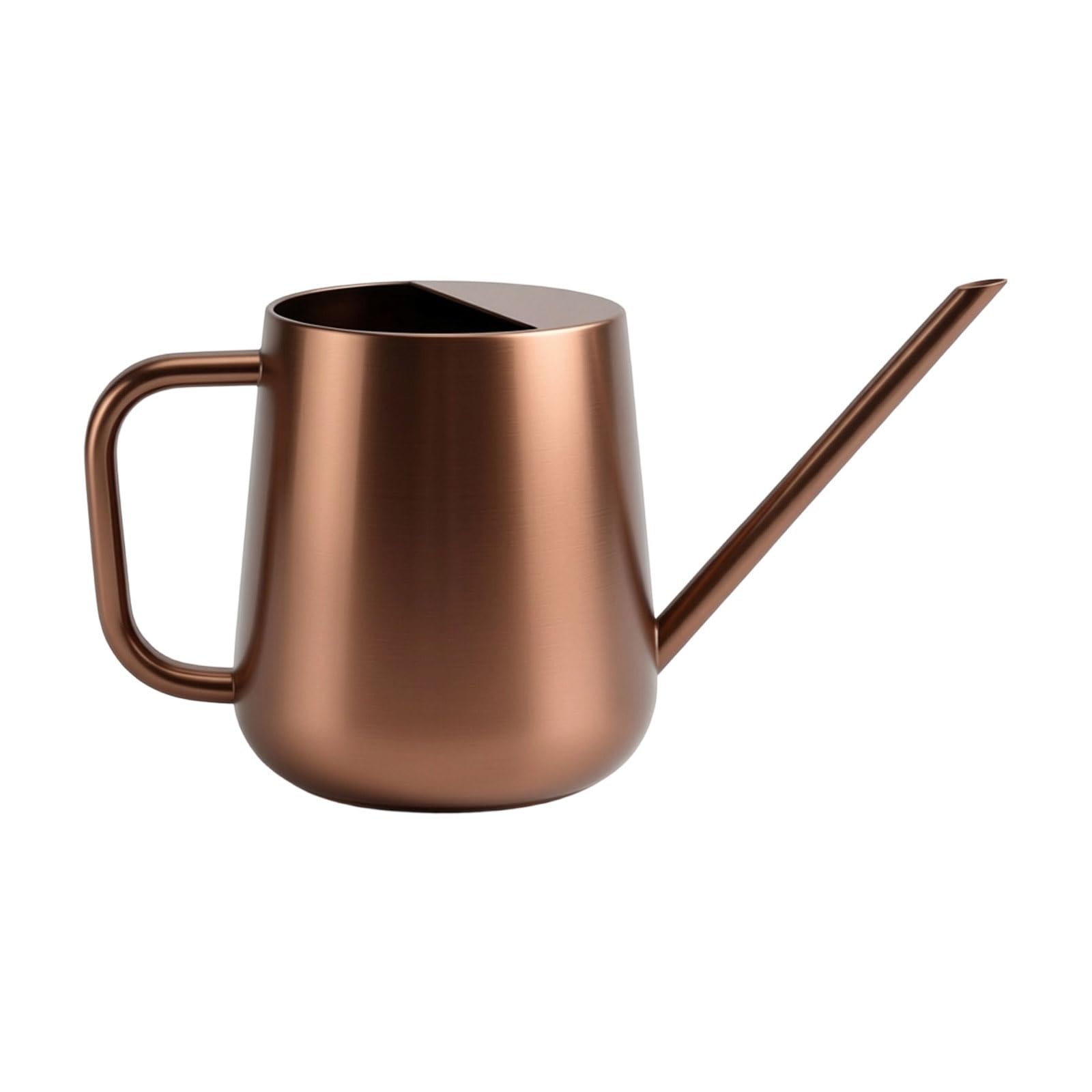 LUCKGONI Indoor Watering Can for House Plant Stainless Steel Watering Can Metal with Long Spout Indoor Plant 1000ml