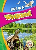 Life in a Wetland (Biomes Alive!)