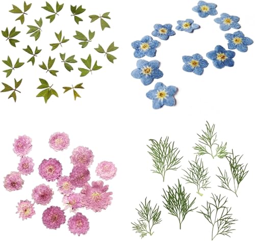 Flores Secas Naturales para Manualidades 10 U miniatura 2
