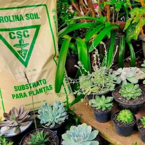 Substrato Carolina Soil Para Cultivo 9kg Turfa, Perlita, Fofo, Aerado, Nutrientes, Boa Drenagem