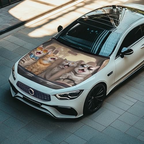 Image of Cute Cat Car Hood Cover, Car Bonnet Banner, Universal Fit, Elastic Polyester, Stretchable, Patriotic Automotive Hood Covers
