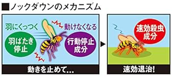 Amazon.co.jp: フマキラー ハチ・アブ 駆除 殺虫剤 スプレー