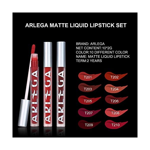 Arlega 10pcs Matte Liquid Lipstick Set, 0.07 oz Full Size Velvety Smooth Full Pigmented and Long Lasting Waterproof Lipgloss for Daily and Party Makeup, Gift for Women (Large, 2g) (chocolate)