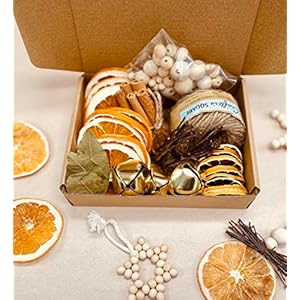 Christmas Crafting Kit Citrus OrnamentGarland Set Natural Tree Modern Farmhouse Thanksgiving garland Natural Christmas