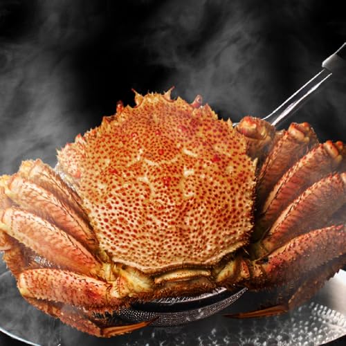 �ێs���c���X �k�C���Y ���� �ъI �D�y���������s�� �уK�j �т��� ���� (400gx3��)