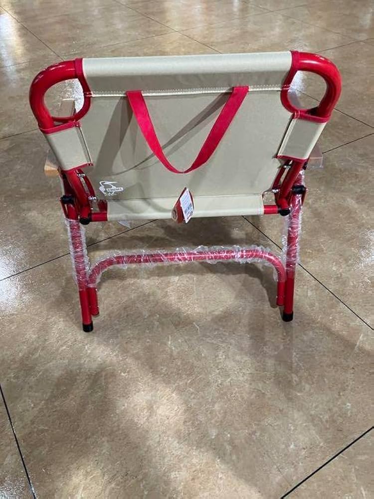 Amazon.co.jp: チャムス chums バックウィズチェア アウトドア 椅子