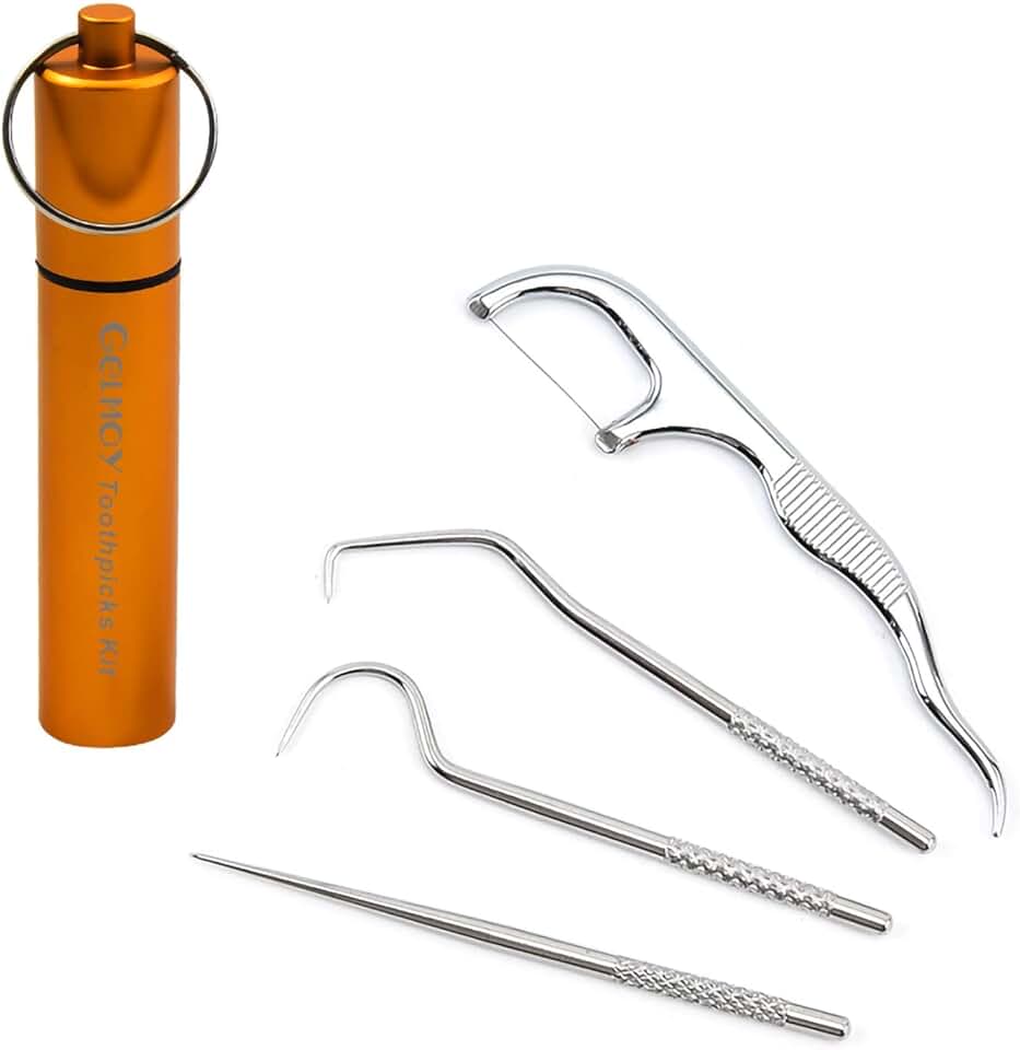 Conjunto de bolso para palitos de dente portátil, palhetas de fio dental, fio dental reutilizável, coletor de dentes de viagem, fio dental para adultos, kit de limpeza de dentes de aço inoxidável