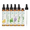 ORIENTLEAF Essential Oils Set for Diffusers, Fragrance, Aromatherapy Gifts for Women, Lavender, Eucalyptus, Lemongrass, Sweet Orange, Peppermint, Tea Tree (6x10ml)