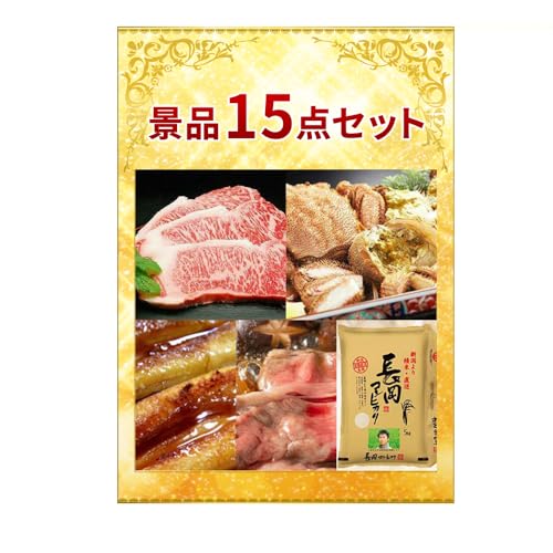 Hiii΂̌ii15_Zbg StRy  񎟉 rS YN Cxgii