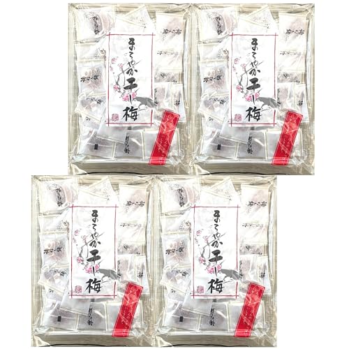 4Zbg nbs[Jpj[ ܂₩~  160g Ȃ JȗAHiii  ̂ ܂ ~  ~ s g 퉷ۑ\ 