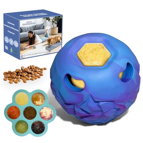 5-in-1 ̂AZۂ߂̗Ⓚ̂AC^NeBuȂ܌̂pYAq^^̂߂̃C^NeBuނAp[`[[Aϋv̂S-ȒP(STCY)