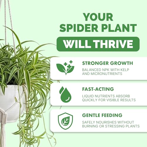 Fertilizante Líquido para Planta Araña 8 oz miniatura 2