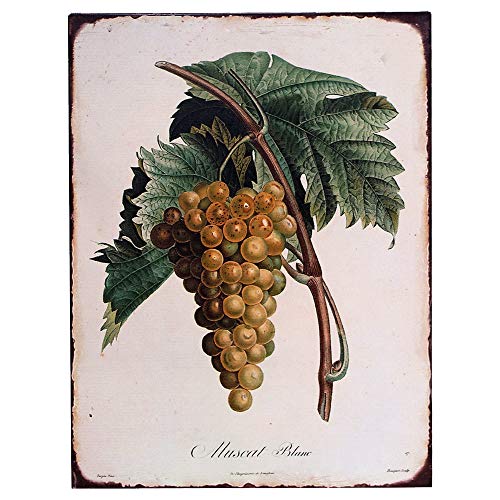 Barnyard Designs Vintage Botanical Grapes Tin Sign, Primitive Country Farmhouse Home Decor Sign 10" x 13"