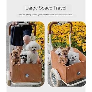 Pet-Dog-Bicycle-Cart-Reverse-Three-Wheel-Bike-Can-Take-Pets-Take-Express-Parent-Child-BikeBicycle-Trailers-for-Travel - Cucciolini Doodles   Pet-Dog-Bicycle-Cart-Reverse-Three-Wheel-Bike-Can-Take-Pets-Take-Express-Parent-Child-BikeBicycle-Trailers-for-Travel