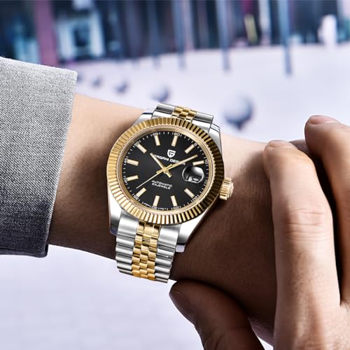 Image of Pagani Design Men's Watch Automatic Watch Japanese Automatic Movement Classic Timepiece Sapphire Crystal 100m Water Resistance Luminous Business Men's Watch