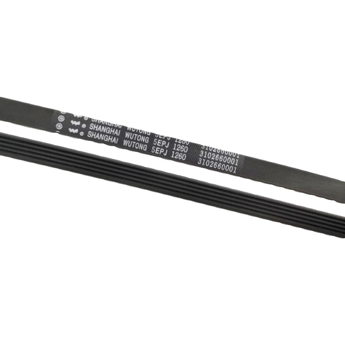 Courroie lave-linge 5EPJ1260 compatible TCL XQG90-P300B XQGM90-14302BH