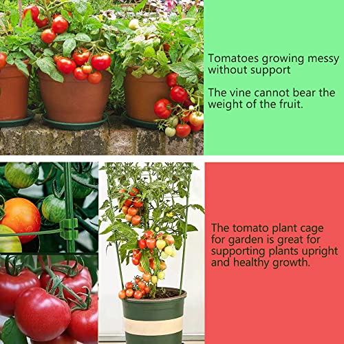 Adjustable Tomato Cage,36" Plant Support Garden Plant Stakes Cucumber Trellis With 4 Adjustable Ring For Climbing Plants Vegetables，Flowers，Fruit,Rose Vine Climbing Plants(6 Pack) #TOP1