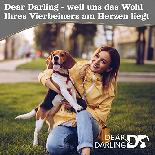Dear Darling DD-05GR Luxus Hundebett Katzenbett Anthrazit Korb Memoryschaum Matratze (L) Hundekorb Katzenkorb Tierbedarf Haustierzubehör Tierbett