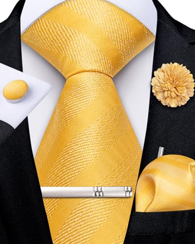 Image of DiBanGu Silk Pre-tied Ties for Men Formal Adjustable Necktie Set