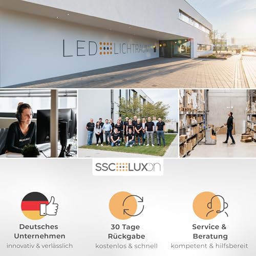 SSC-LUXon KELEA Bewegungsmelder Weiss aussen & innen Aussenbereich IP54 für Wand, Decke & Ecken - PIR Sensor bis 12m Winkel 180° & 360° schwenkbar mit Dämmerungssensor