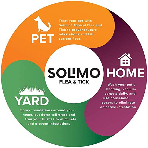 Solimo for Cats Small (5-9 pounds) Flea Topical, 4 Ct - Image 5