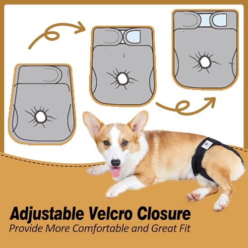 Hisprout weiblich Hund Windel wiederverwendbar waschbar Langlebig Hund Windeln Hose,Schwarz,S