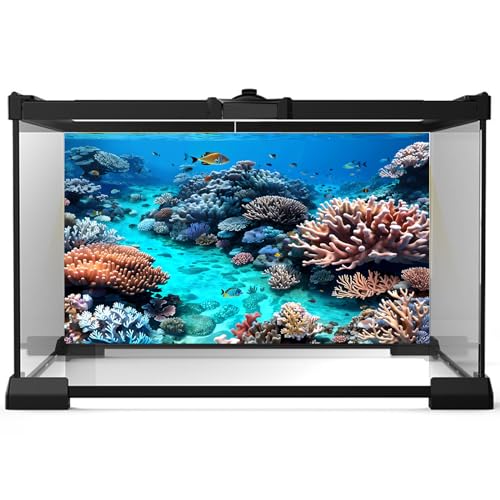 Image of Undersea Aquarium Background Beautiful Coral and Fish Terrarium Backdrop Coral Reef Tropical Sea Hard Corals Fish Tank Background Underwater Plants Aquarium Poster Background Vinyl 72x18in
