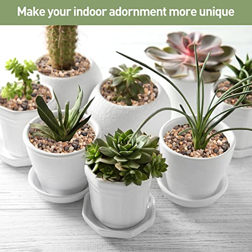 image for GASPRO Pea Gravel for Aquarium, Fish Tank, 5lbs, 1/5 Inch Natural Pebb