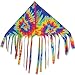 Fun Flyer, Fringe Delta, Tie Dye 32"x14"