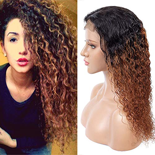 Seelaak 4x4 Lace Closure Human Hair t30 Curly Wigs Black Roots to Brown Glueless Silky 20Inch Pre Plucked with Baby Hair Jerry Curl Wigs (20inch & Free Wig Cap)