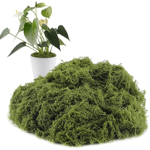 Generisch Musgo para manualidades, 300 g, verde realista, musgo verde, para jarrón, pared, hogar, maceta, suculentas, terrario, Navidad al aire libre