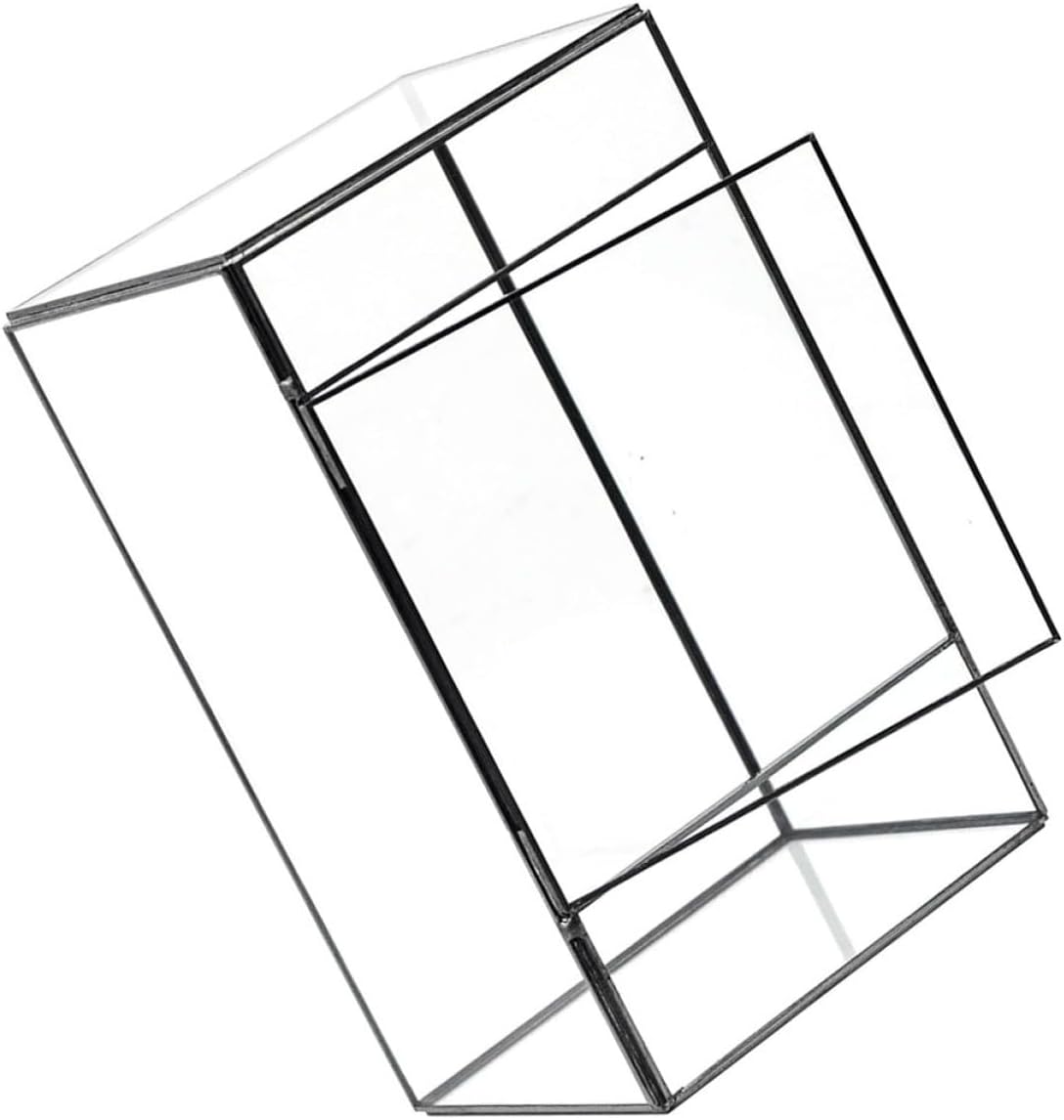 Geometric Glass Terrarium Ecological Holder for Moss and Succulents, Mini Desktop Micro Landscape Planter Box with Black Tin Frame, Indoor Living Room Decorative Glass Container
