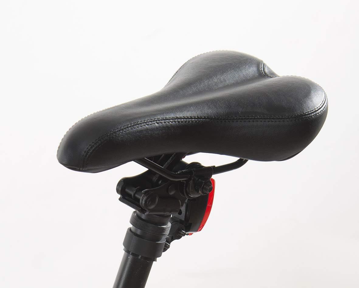 SURFY FAST - E-Bike a Pedalata Assistita - TELAIO IN ACCIAIO -POTENZA 250W-VELOCITA' 25Km/h - BATTERIA ESTRAIBILE (Nero)