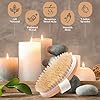 Dry-Skin-Body-Brush-Improves-Skins-Health-and-Beauty-Natural-Bristle-Remove-Dead-Skin-and-Toxins-Cellulite-Treatment-Improves-Lymphatic-Functions-Exfoliates-Stimulates-Blood-Circulation Dry Skin Body Brush - Improves Skin's Health and Beauty - Natural Bristle - Remove Dead Skin and Toxins, Cellulite Treatment, Improves Lymphatic Functions, Exfoliates, Stimulates Blood Circulation