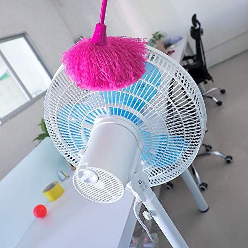 Image of Feather Duster (Brown)