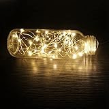 YINUO LIGHT Copper Wire Lights Decorative Led Lights USB Operated 100 LED 33ft Warm White Rope Lights Waterproof Fairy Sting Lights for Home