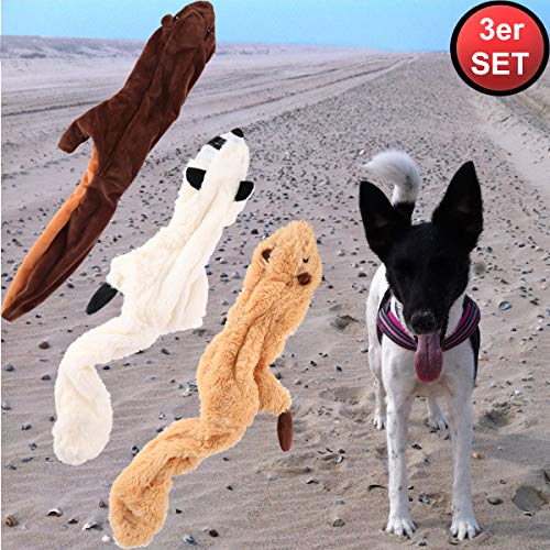Stimo Lot de 3 Jouets en Peluche pour Chien (sans Rembourrage) Parfait pour Jouer à Rapport/élèves - Apprentissage et Jeux de Recherche