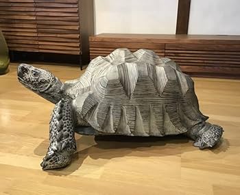 リクガメ ゾウガメ  置物 楽天市場】リクガメ 置物の通販