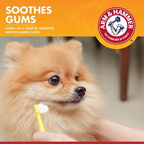Arm & Hammer Gengivas Saudáveis - Pasta De Dentes Enzimática Para Cães - Sabor Frango