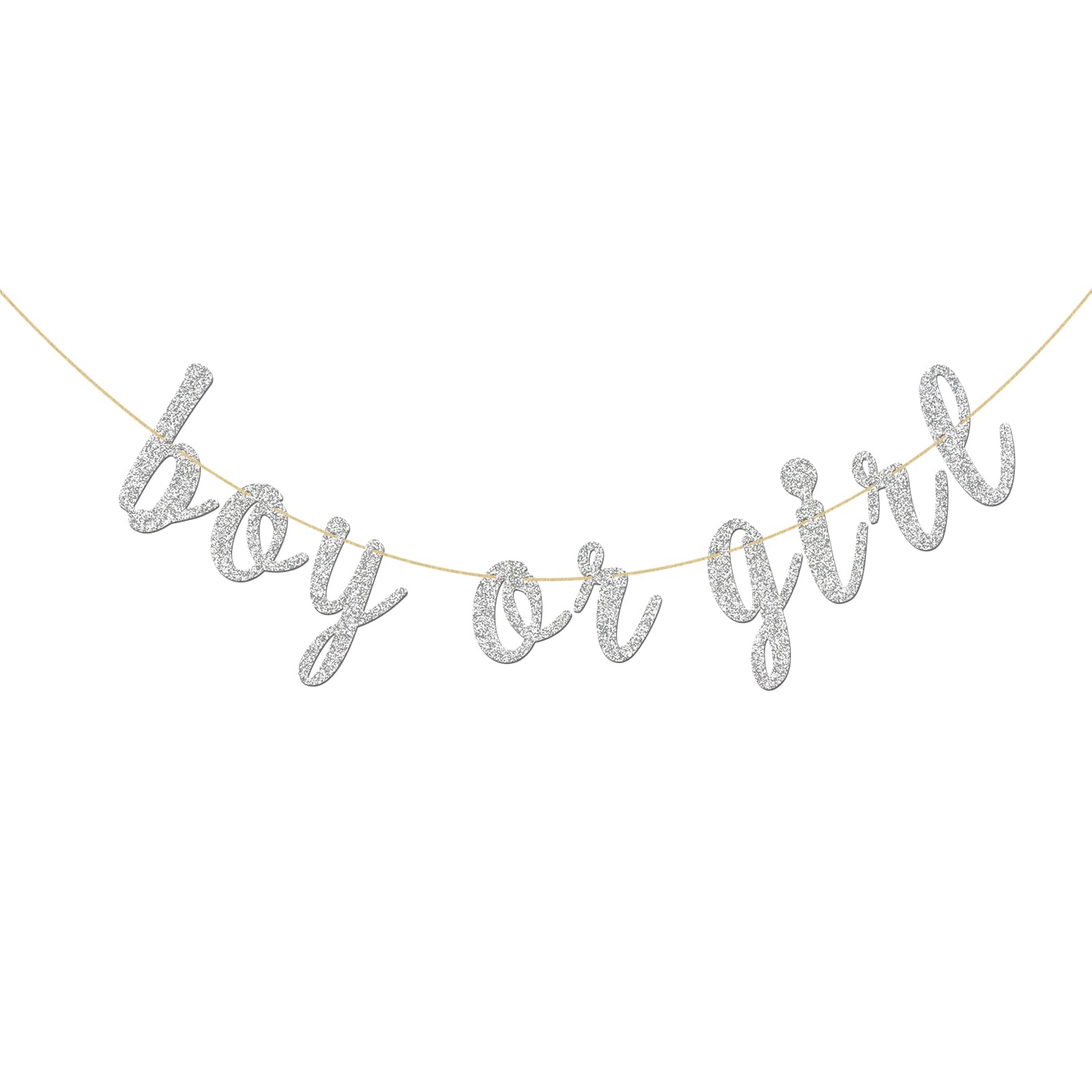 Glitter Silver Boy or Girl Banner - Baby Shower - Prince or Princess Garland Bunting - Gender Reveal Party Bunting Decorations
