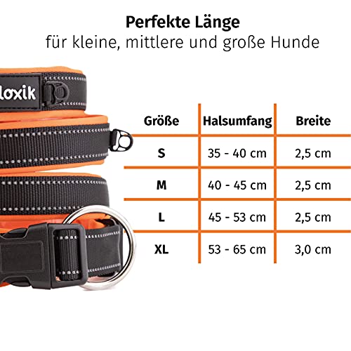 Floxik Hundehalsband verstellbar Größe S | Weiches Neopren Halsband für den Hund & Welpen in verschiedenen Größen inkl. Zugentlastung