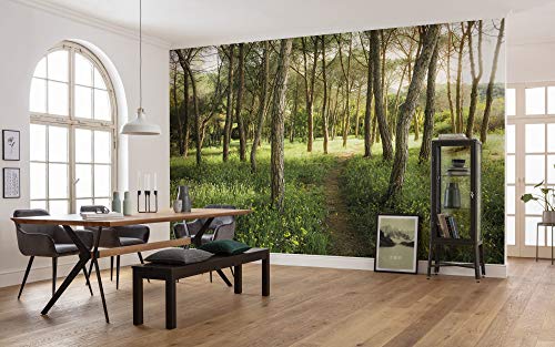 Komar Vlies Fototapete BLÜTENZAUBERWALD | Tapete, XXL, Dekoration, Natur, Landschaft, Schlafzimmer, Wohnzimmer, Büro, Flur | Größe 450 x 280 cm (Breite x Höhe) | SHX9-011
