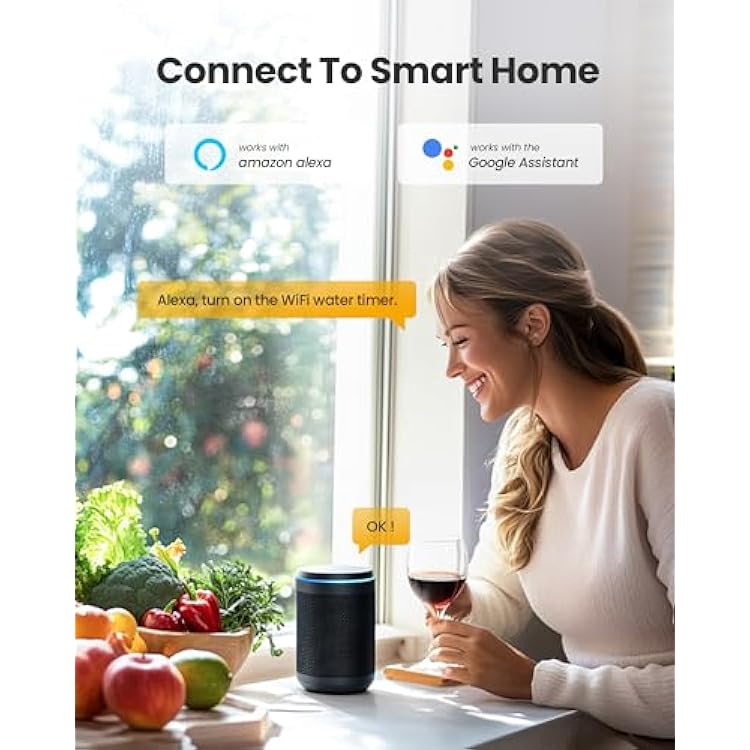 RAINPOINT WiFi Water Timer, Smart Hose Timer WiFi Irrigation Controller, Wireless Watering System Valve, APP & Voice Control, Weather-Based Automatic Rain Delay, Brass Inlet