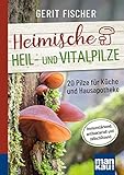 Heimische Heil- und Vitalpilze. Kompakt-Ratgeber: 20 Pilze für Küche und Hausapotheke. Immunstärkend, antibakteriell und zellschützend