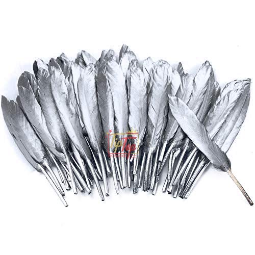 TIPTOP DECORATION Natural Metallic Dyed Goose Feather 4-6 inch (10-Pieces) (Silver)
