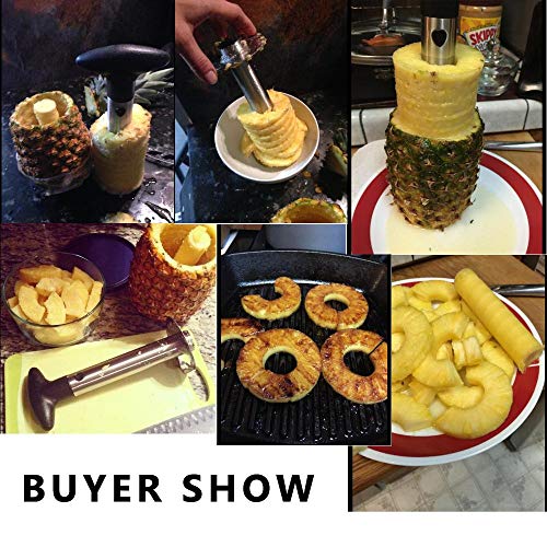 Ananasschneider Aeromdale Edelstahl Ananasschäler