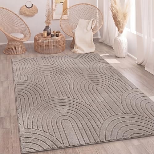 Paco Home Tapis Salon Chambre à Coucher Moelleux Uni Aspect 3D Entretien Facile Design Moderne Lavable Taupe, Dimension:120x160 cm