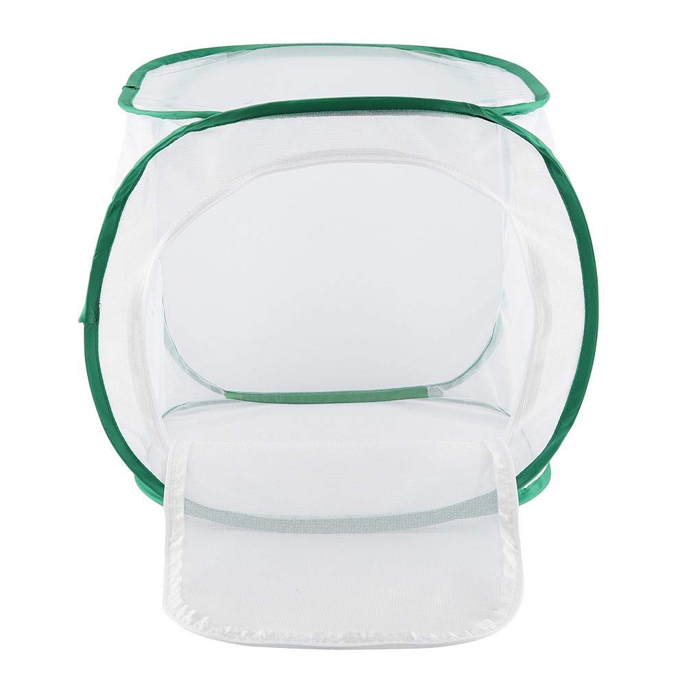 Grande Cage d'habitat pour Insectes et Papillons, Cage d'élevage ventilée avec matériau en de Fil de Polyester, Habitat Portable en Chenille, pour cultiver des Insectes (30 x 30 x 30 cm)